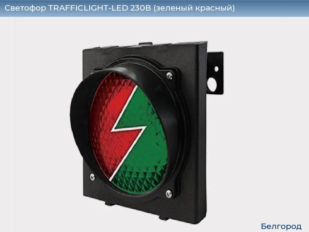 Светофор TRAFFICLIGHT-LED 230В (зеленый+красный), belgorod.doorhan.ru