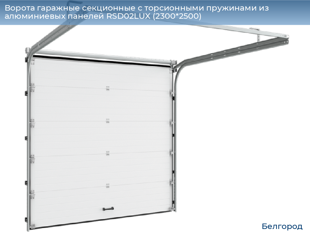 Ворота гаражные секционные с торсионными пружинами из алюминиевых панелей RSD02LUX (2300*2500), belgorod.doorhan.ru