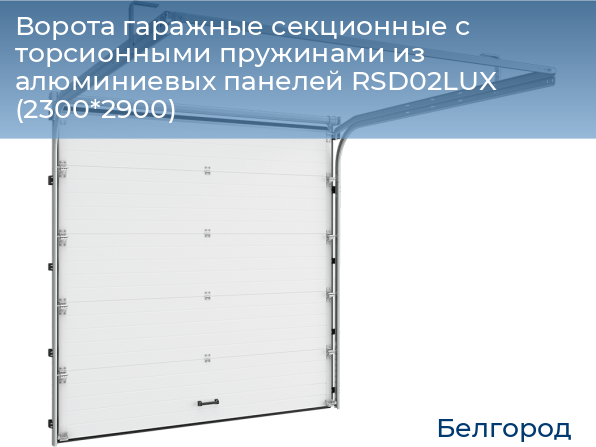 Ворота гаражные секционные с торсионными пружинами из алюминиевых панелей RSD02LUX (2300*2900), belgorod.doorhan.ru