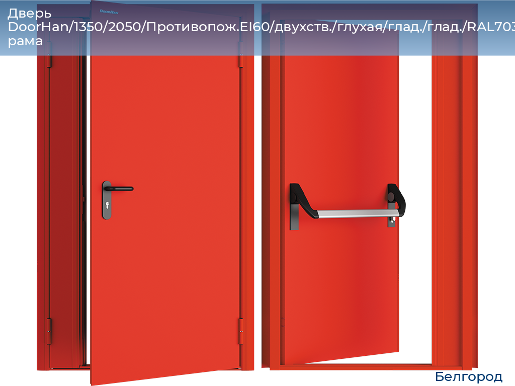 Дверь DoorHan/1350/2050/Противопож.EI60/двухств./глухая/глад./глад./RAL7035/лев./угл. рама, belgorod.doorhan.ru