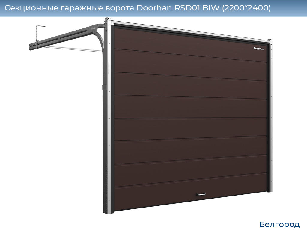 Секционные гаражные ворота Doorhan RSD01 BIW (2200*2400), belgorod.doorhan.ru