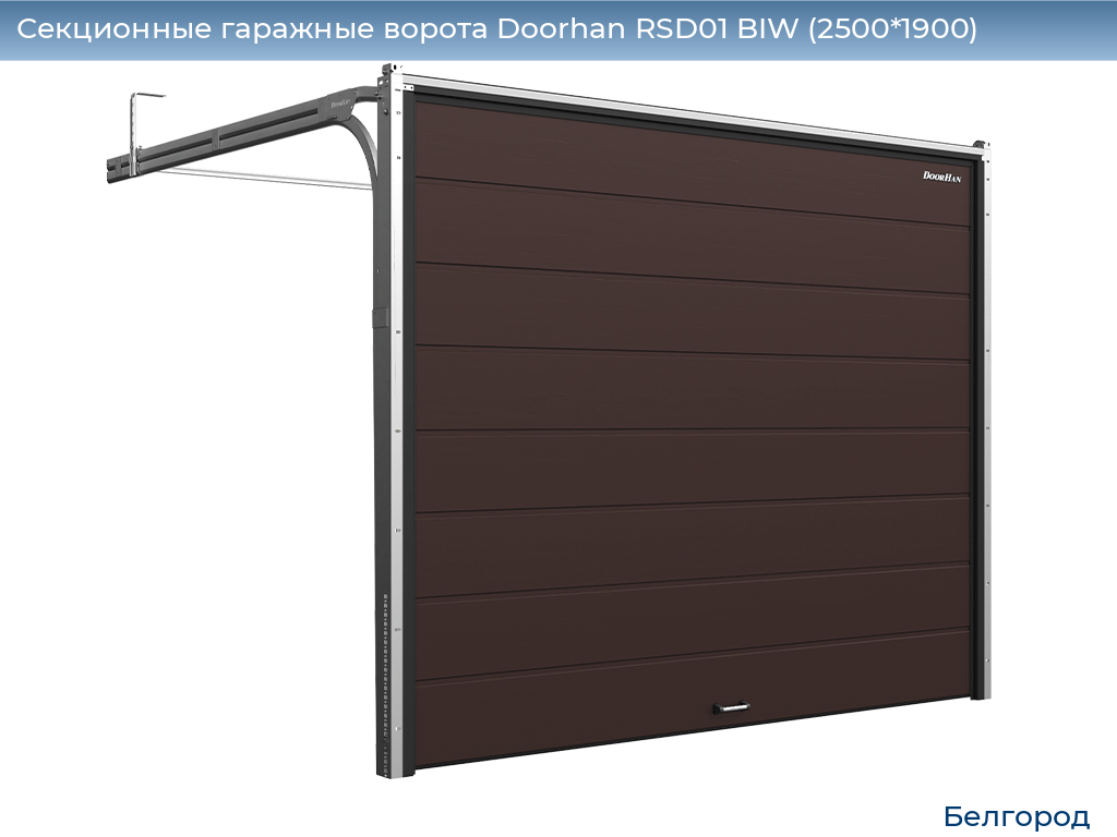 Секционные гаражные ворота Doorhan RSD01 BIW (2500*1900), belgorod.doorhan.ru