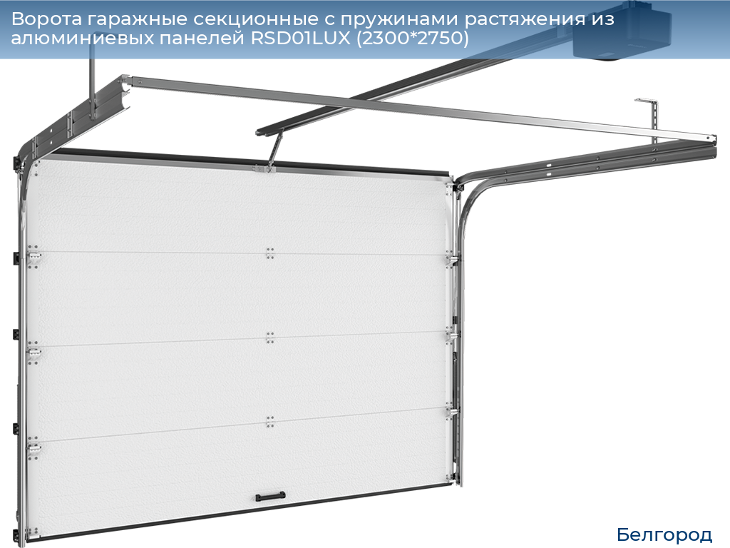 Ворота гаражные секционные с пружинами растяжения из алюминиевых панелей RSD01LUX (2300*2750), belgorod.doorhan.ru