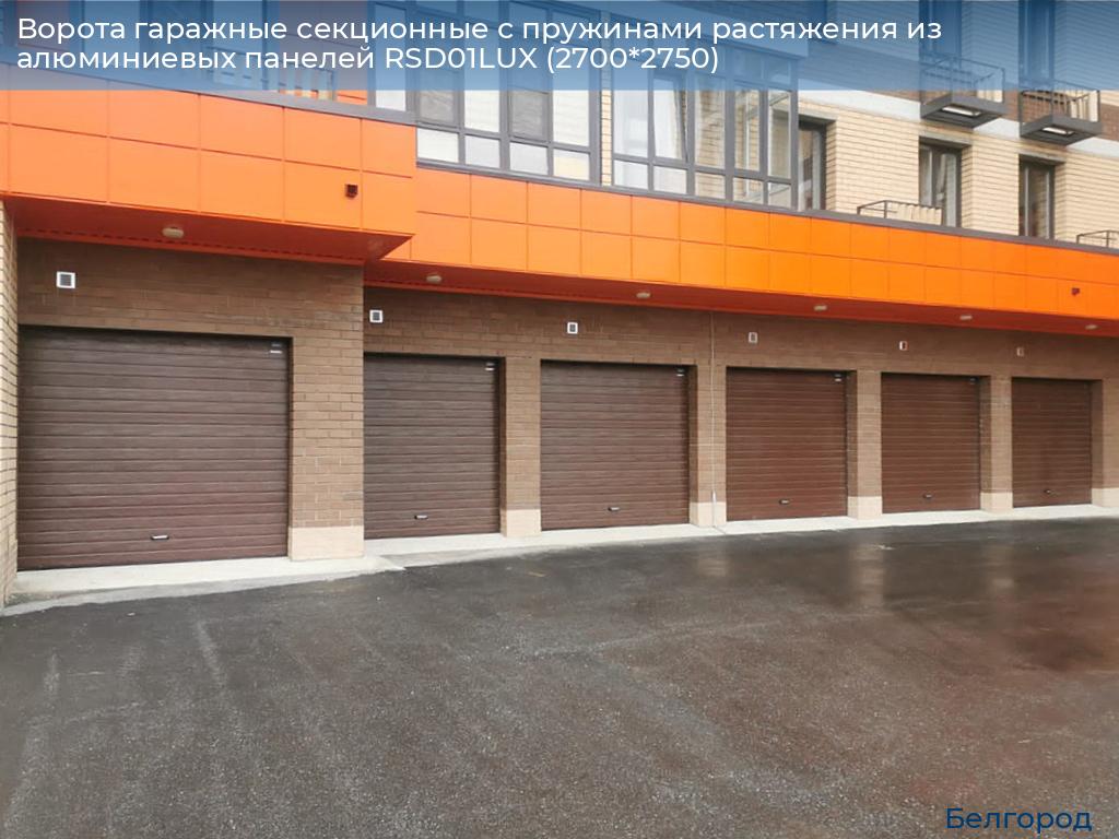 Ворота гаражные секционные с пружинами растяжения из алюминиевых панелей RSD01LUX (2700*2750), belgorod.doorhan.ru