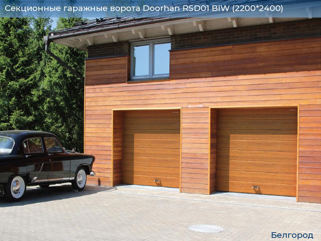 Секционные гаражные ворота Doorhan RSD01 BIW (2200*2400), belgorod.doorhan.ru