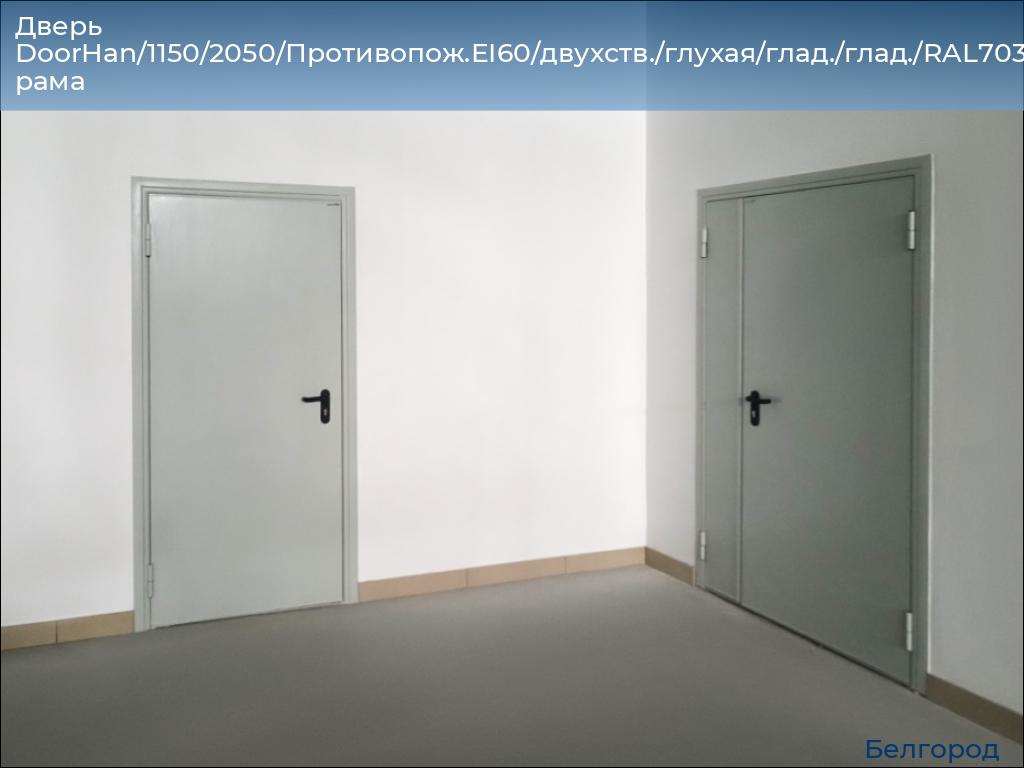 Дверь DoorHan/1150/2050/Противопож.EI60/двухств./глухая/глад./глад./RAL7035/прав./угл. рама, belgorod.doorhan.ru