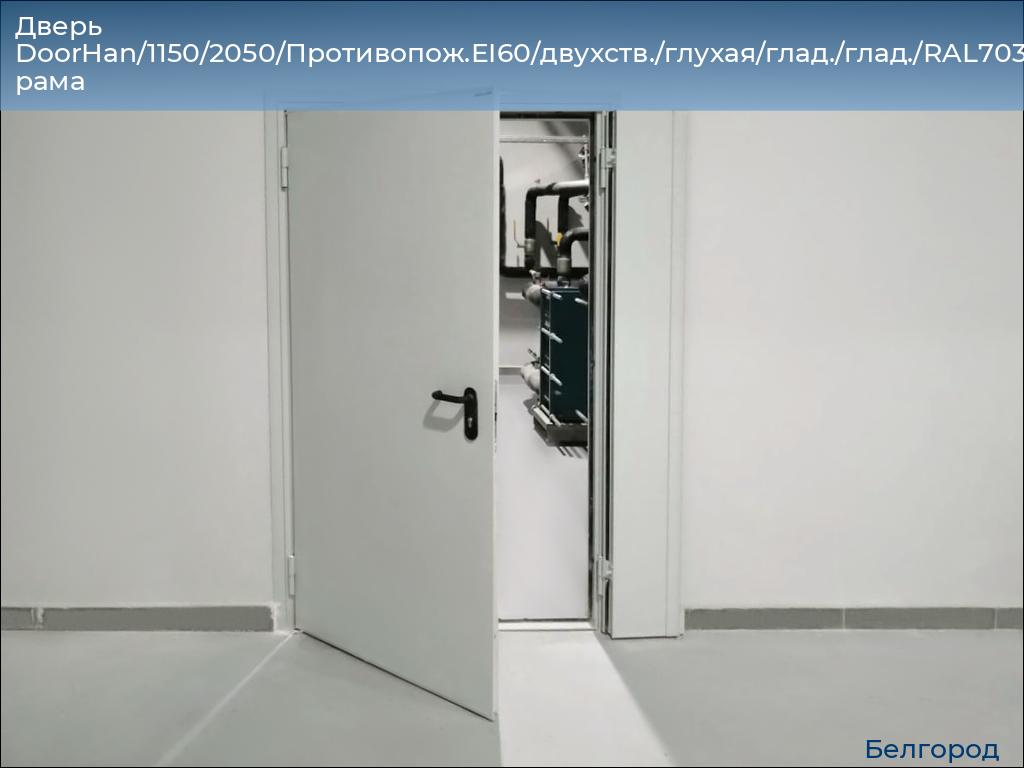 Дверь DoorHan/1150/2050/Противопож.EI60/двухств./глухая/глад./глад./RAL7035/прав./угл. рама, belgorod.doorhan.ru
