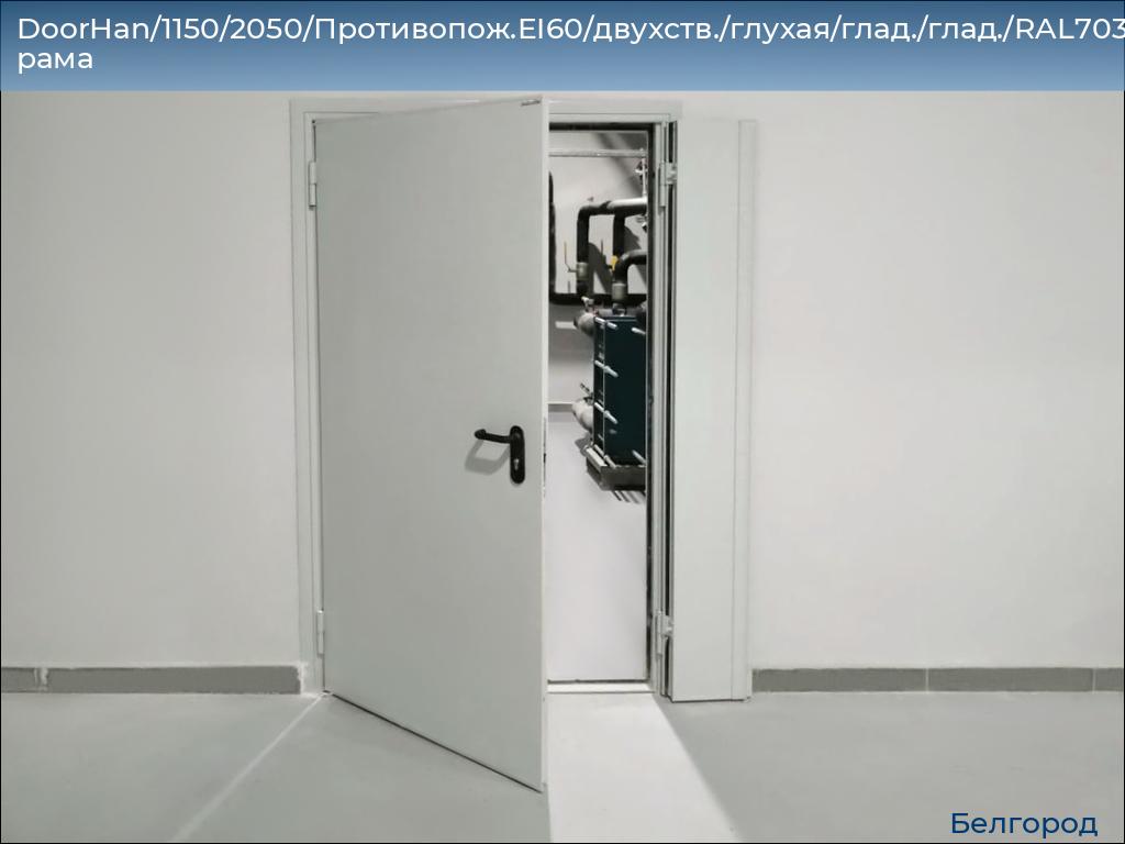 DoorHan/1150/2050/Противопож.EI60/двухств./глухая/глад./глад./RAL7035/лев./угл. рама, belgorod.doorhan.ru