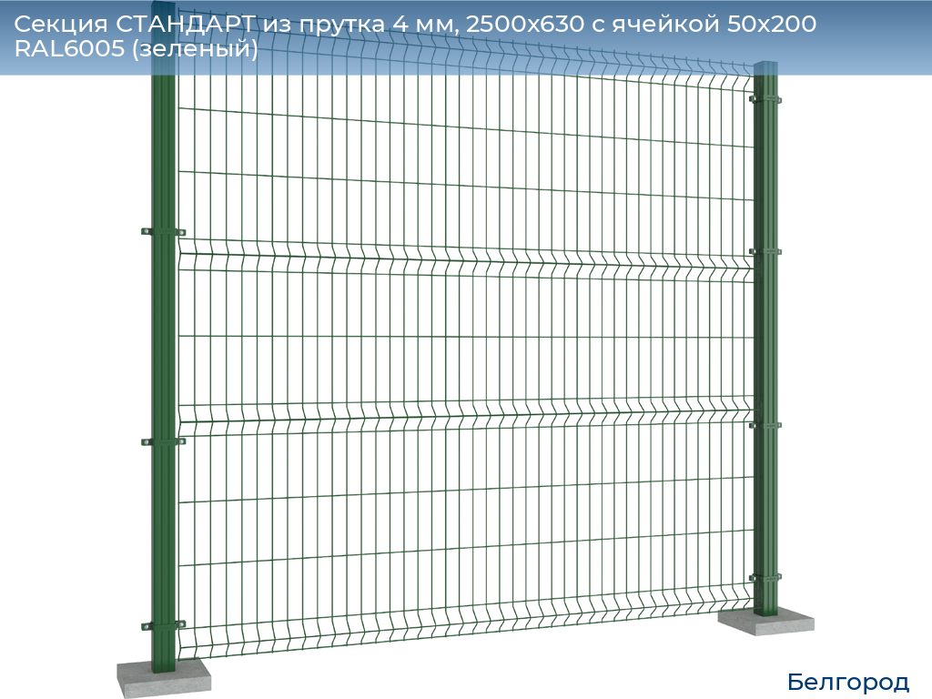 Секция СТАНДАРТ из прутка 4 мм, 2500x630 с ячейкой 50х200 RAL6005 (зеленый), belgorod.doorhan.ru
