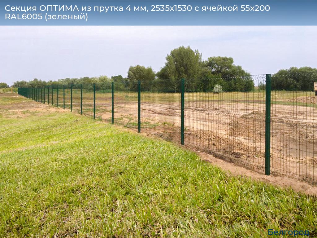 Секция ОПТИМА из прутка 4 мм, 2535x1530 с ячейкой 55х200 RAL6005 (зеленый), belgorod.doorhan.ru