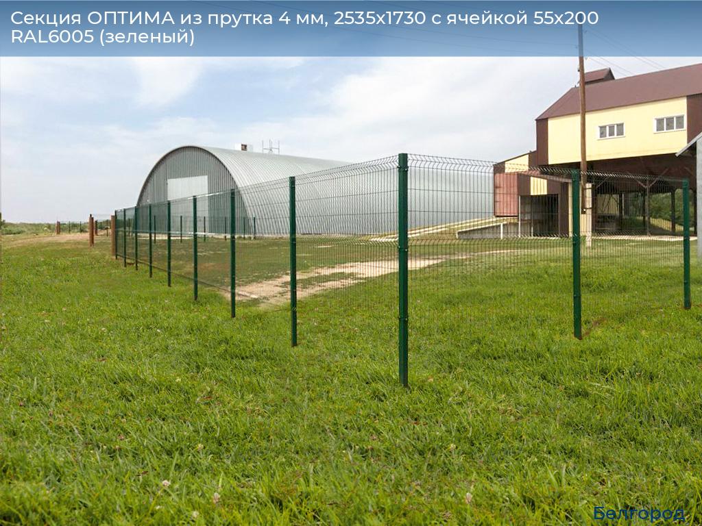 Секция ОПТИМА из прутка 4 мм, 2535x1730 с ячейкой 55х200 RAL6005 (зеленый), belgorod.doorhan.ru