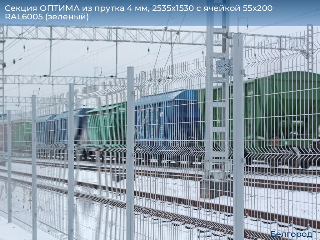 Секция ОПТИМА из прутка 4 мм, 2535x1530 с ячейкой 55х200 RAL6005 (зеленый), belgorod.doorhan.ru