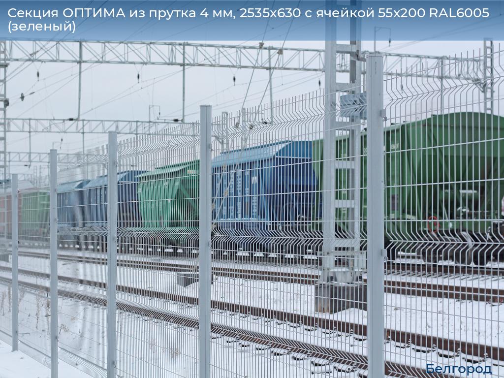 Секция ОПТИМА из прутка 4 мм, 2535x630 с ячейкой 55х200 RAL6005 (зеленый), belgorod.doorhan.ru