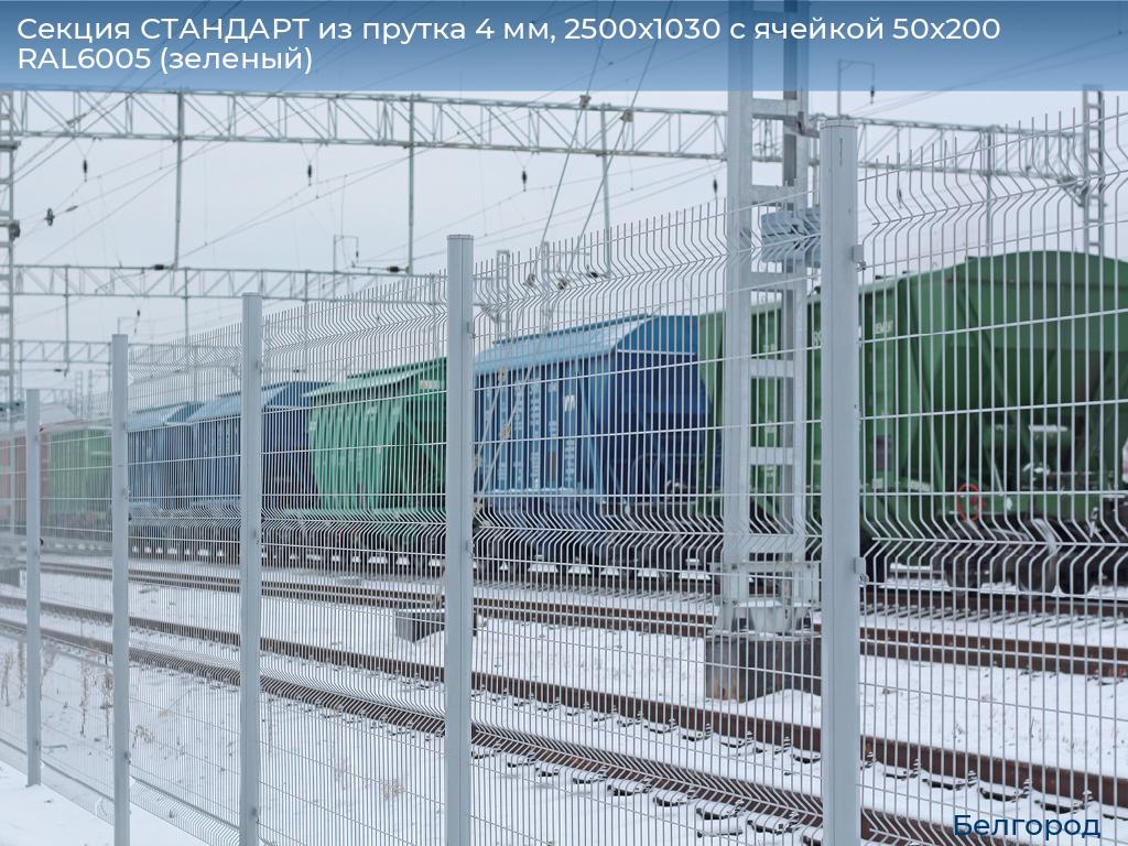 Секция СТАНДАРТ из прутка 4 мм, 2500x1030 с ячейкой 50х200 RAL6005 (зеленый), belgorod.doorhan.ru