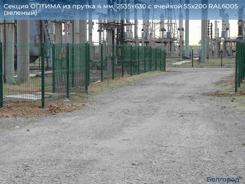 Секция ОПТИМА из прутка 4 мм, 2535x630 с ячейкой 55х200 RAL6005 (зеленый), belgorod.doorhan.ru