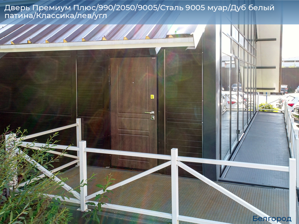 Дверь Премиум Плюс/990/2050/9005/Сталь 9005 муар/Дуб белый патина/Классика/лев/угл, belgorod.doorhan.ru
