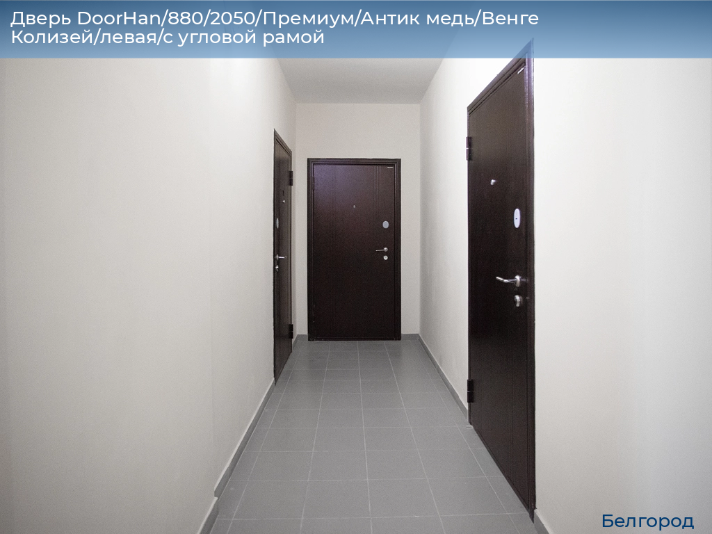 Дверь DoorHan/880/2050/Премиум/Антик медь/Венге Колизей/левая/с угловой рамой, belgorod.doorhan.ru