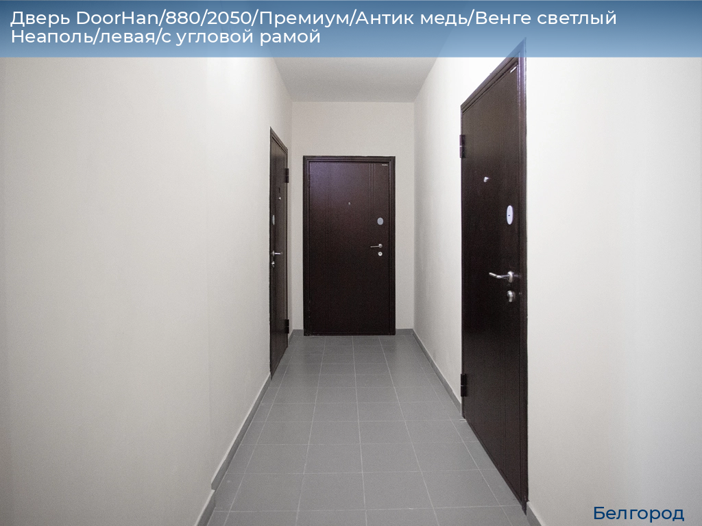 Дверь DoorHan/880/2050/Премиум/Антик медь/Венге светлый Неаполь/левая/с угловой рамой, belgorod.doorhan.ru