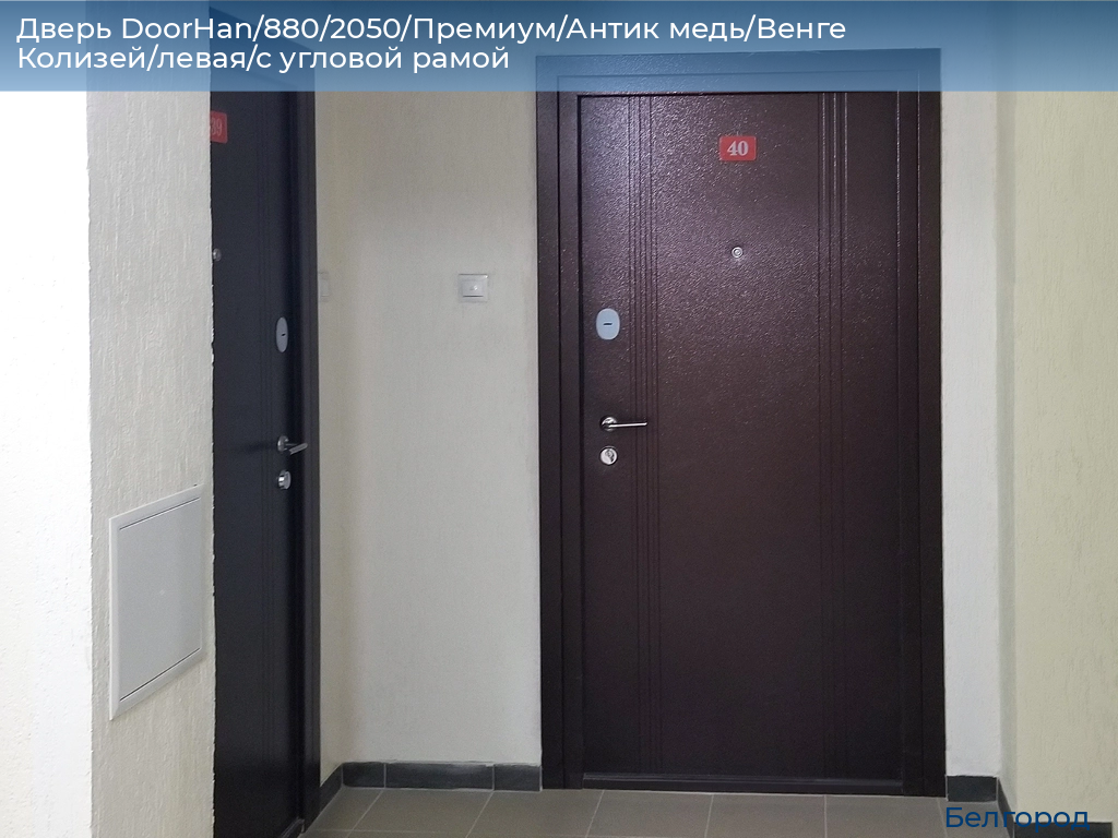 Дверь DoorHan/880/2050/Премиум/Антик медь/Венге Колизей/левая/с угловой рамой, belgorod.doorhan.ru