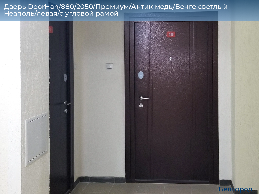 Дверь DoorHan/880/2050/Премиум/Антик медь/Венге светлый Неаполь/левая/с угловой рамой, belgorod.doorhan.ru