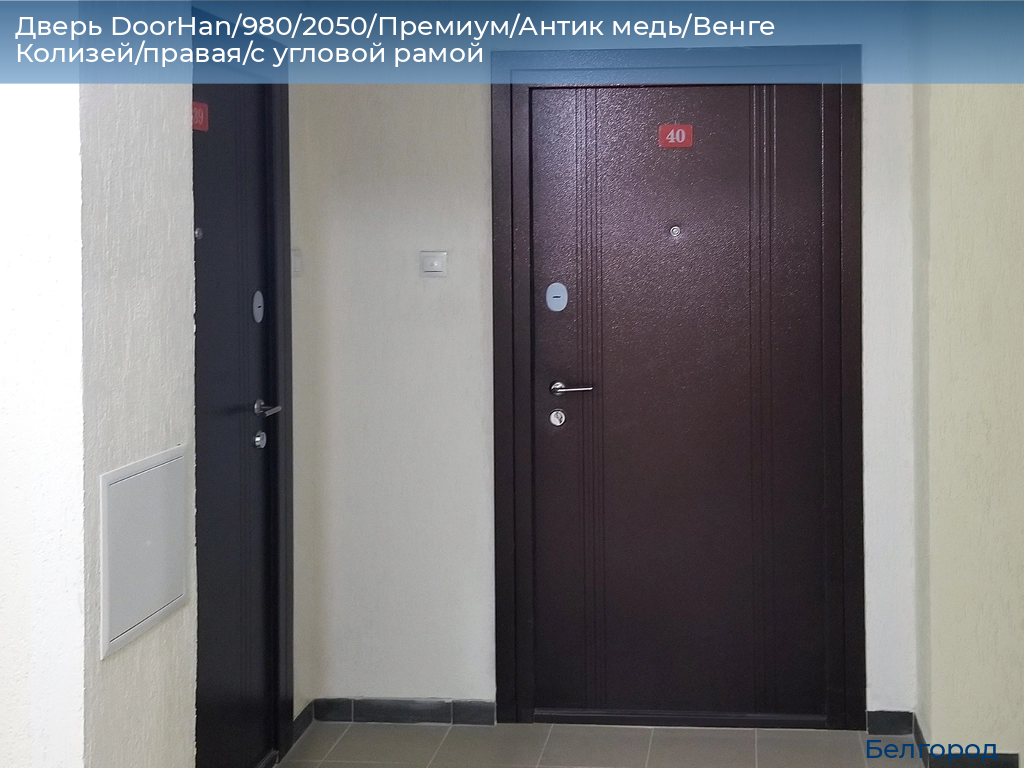 Дверь DoorHan/980/2050/Премиум/Антик медь/Венге Колизей/правая/с угловой рамой, belgorod.doorhan.ru
