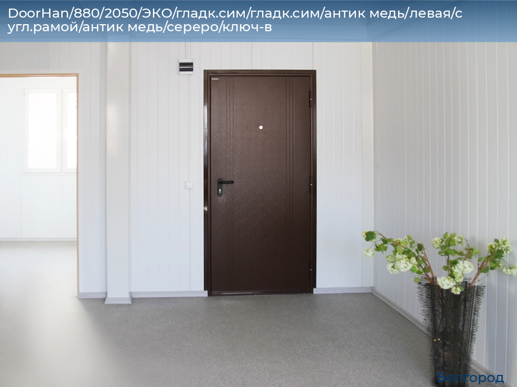 DoorHan/880/2050/ЭКО/гладк.сим/гладк.сим/антик медь/левая/с угл.рамой/антик медь/сереро/ключ-в, belgorod.doorhan.ru
